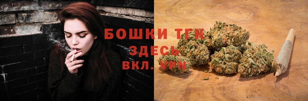 тгк Бородино