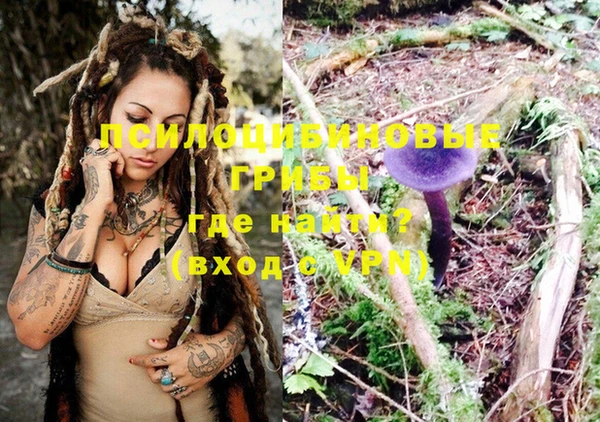 эйфоретик Бронницы