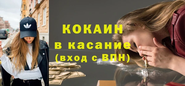 тгк Бородино