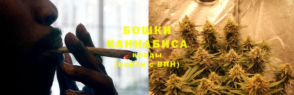 дурь Верея