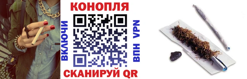 нарко площадка клад Щучье Канабис ГИДРОПОН
